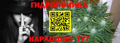 прущие крисы Апшеронск