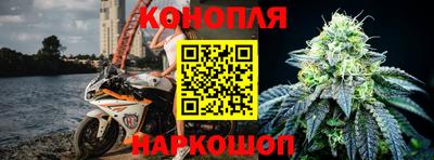 прущие крисы Апшеронск