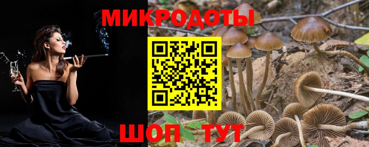 Псилоцибиновые грибы ЛСД  дарнет шоп  Вятские Поляны  Вход с VPN 